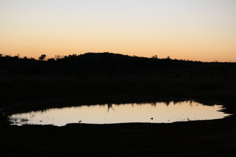 Commercial Property for Sale in Lekwena Wildlife Estate North West